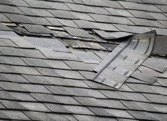 Roof inspector