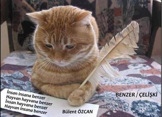 Benzer, Çelişki, Şiir, Bülent Özcan