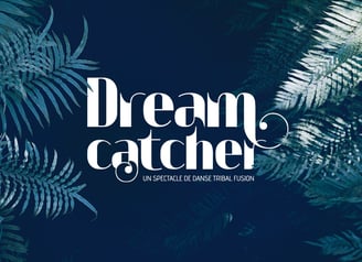 Dreamcatcher spectacle de danse