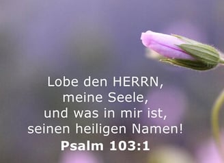 Lobe den Herrn meine Seele