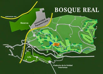 Plano General Bosque Real