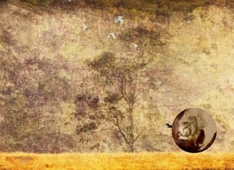 Textured golden landscape with flying birds by Engela Gobregts, artist portrait inset.