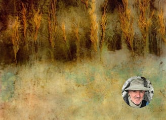 Earthy abstract landscape with golden reeds by Craig O'Flaherty, artist portrait inset.