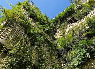 Paisagista Ricardo Cardim, que transforma áreas urbanas degradadas em pequenos oásis de vegetação.