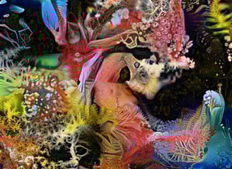 Obra de arte generativa de Sofia Crespo, mostrando uma criatura fantástica e colorida com texturas o