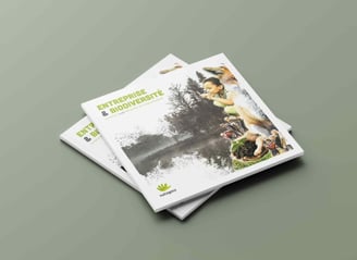 Mise en page et brochure pour l'association Natagora
