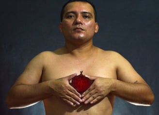 Denilson Baniwa, obra Meu Coração e Orgânico.