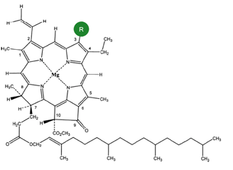Molécule chlorophylle