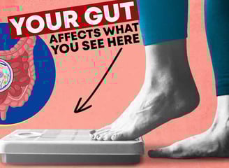 Gut health and weight loss