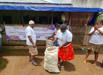 Cassava practical training on Seed production