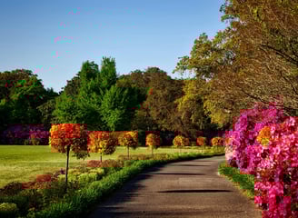 Natur