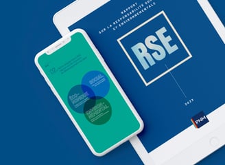 rapport RSE