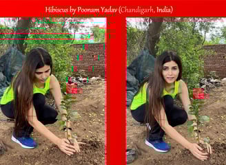 Mrs India planted a tree to connect people with nature positively to join the movement for sustainability