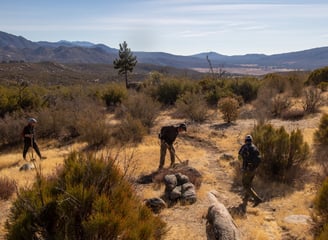 a group of people walking on a trail