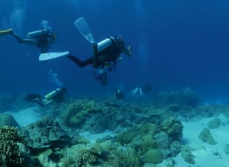 a group of scuba divers in the water