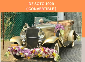 De Soto 1929 Gold (Convertible)