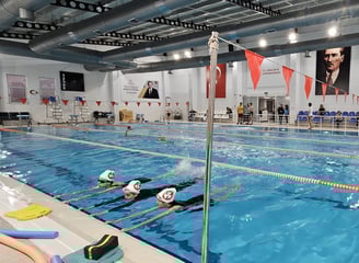 a group of people swimming in a pool