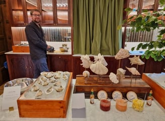 Norfolk Oysters on our mobile bar