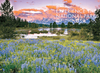 Wildflowers with a Grand Tetons background by a water backdrop