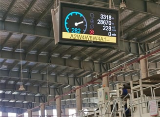 corrugated cardboard production line