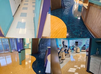 Deep carpet cleaning to remove dirt, stains, and hidden contaminants