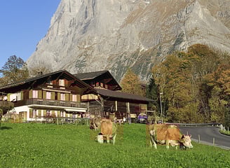 Agriturismo bio