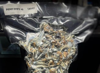 Greg Shroomiez