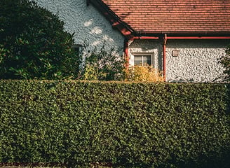 Hedge Pruning