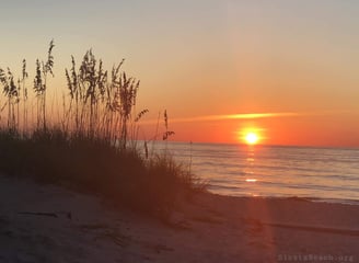 sunset in the sea oats on Siesta Key