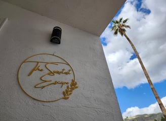 a palm tree and a palm tree in the background