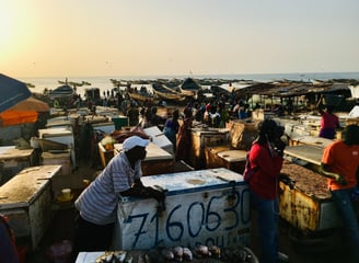 View over a fish market in africa