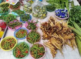 ตลาดนัด ฝนทอง (Talat Nat Fontok), Chumphon 
