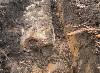 Roots inside of a drain in Warrington