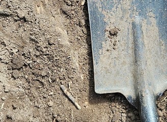 Garden renovation, Landscaping