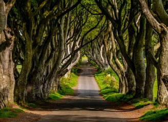 HR Consultancy in Antrim Provided by Kmarc Consulting