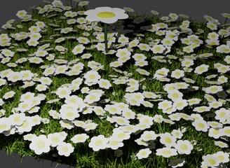 High-quality 3D wildflower scene created for VFX and animations.