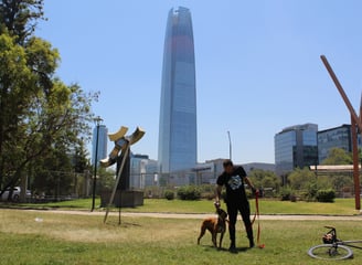 Servicio de paseos Providencia