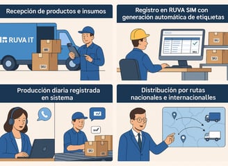 Proceso de inicio a fin Solucion de Sistema RUVA SIM inventarios