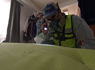 Fumigación chinches de cama