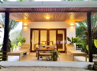 Experience thailands beach bungalows. Paradise, beach, coconut, thailand