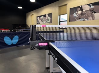 a ping pong table tennis net with a ping pong ball