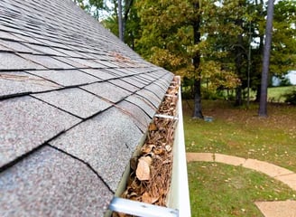 image of a gutter with leaves and debris 