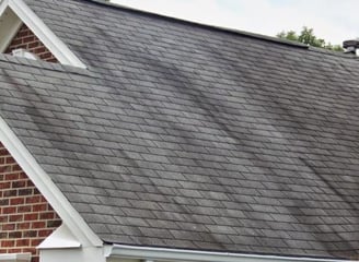 image of a roof with black streaks and bacteria and algae growth