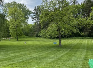 Lawn cut by Legacy Lawn & Landscape LLC