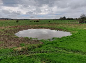 Petite mare naturelle au cœur d’un paysage verdoyant