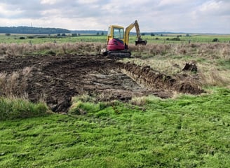 Travaux de terrassement avec pelouse et pelleteuse