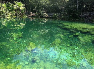 Mexico - cenote, a water filled  sinkhole  found in Cozumel, Playa del Carmen & Tulum