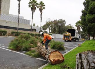 a man in a safety vest is cutting down a tree