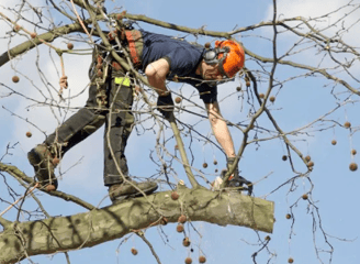 a man in a helmet is using a chainsawl to cut down a tree