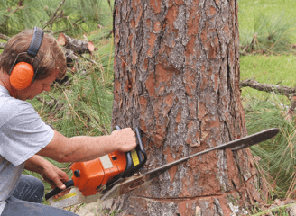 a man is using a chainsaw to cut a tree